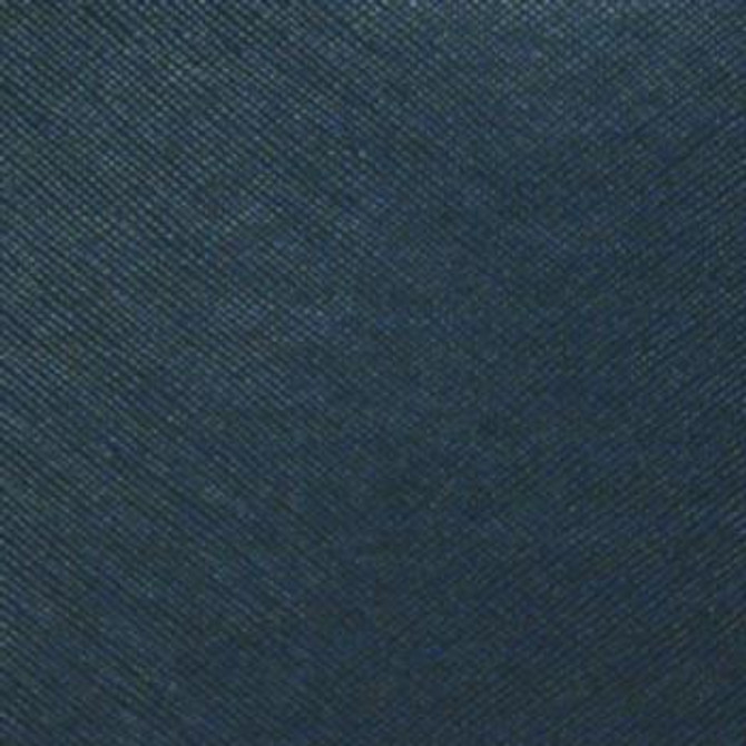 Savanna Neptune by Nassimi Fabric See sample 100% Vinyl 300000 Horizontal: Not Applicable and Vertical: Not Applicable 54" - Fabric Carolina -