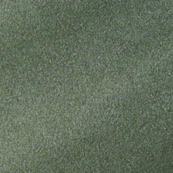 Scandia Gherkin TSC-010 by Nassimi Fabric See sample 100% Vinyl USA or Imported Water-based cleaning agents and foam may be used for cleaning. Cleaning by a professional cleaning service is recommended. 54 - Fabric Carolina -