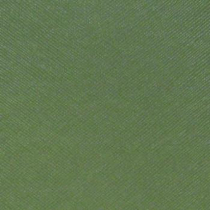 Savanna Artichoke by Nassimi Fabric See sample 100% Vinyl 300000 Horizontal: Not Applicable and Vertical: Not Applicable 54" - Fabric Carolina -