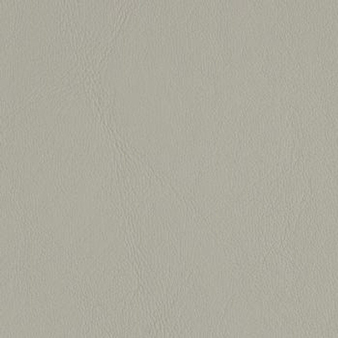 Allante Grey AL 808 by Morbern Fabric See sample 100% Vinyl USA or Imported Water-based cleaning agents and foam may be used for cleaning. Cleaning by a professional cleaning service is recommended. 54 - Fabric Carolina -