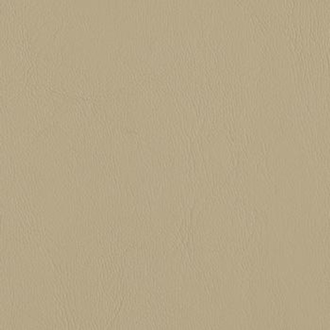 Allante Light Neutral AL 862 by Morbern Fabric See sample 100% Vinyl USA or Imported Water-based cleaning agents and foam may be used for cleaning. Cleaning by a professional cleaning service is recommended. 54 - Fabric Carolina -