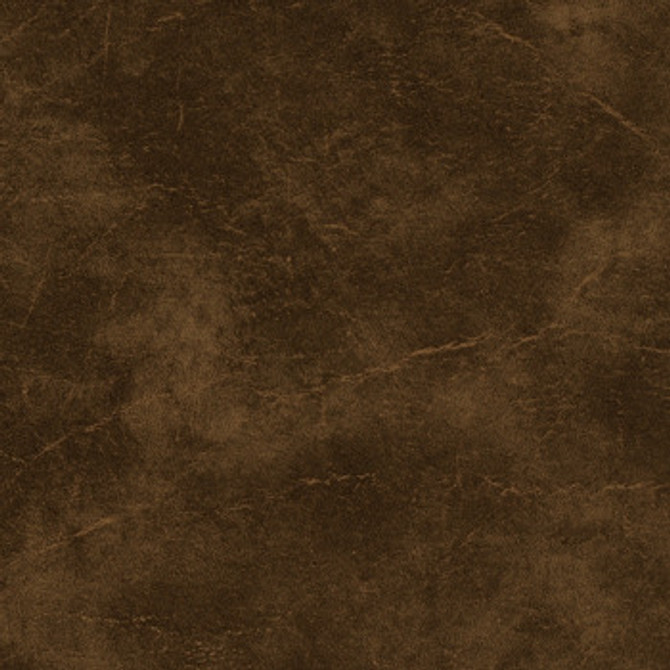 Carrara Tan by Morbern Fabric See sample 100% Vinyl 100000 Horizontal: Not Applicable and Vertical: Not Applicable 54" - Fabric Carolina -