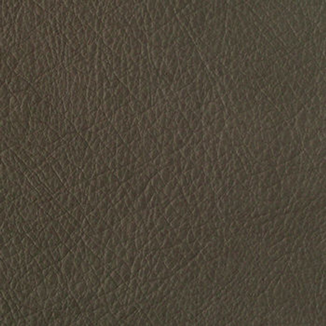 Heritage Husky PHE-006 by Nassimi Fabric our website for purchase 100% Vinyl USA or Asia Water-based cleaning agents and foam may be used for cleaning. This fabric may also be cleaned with mild, water-free solvents. Cleaning by a professional cleaning service is recommended. Horizontal: - and Vertical: - 54" - Fabric Carolina -