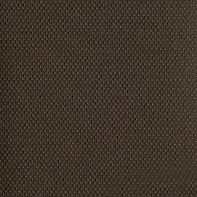 Connect Bittersweet PCO-005 by Nassimi Fabric See sample 100% Vinyl USA or Imported Water-based cleaning agents and foam may be used for cleaning. Cleaning by a professional cleaning service is recommended. </p><p>Repeat: Horizontal: and Vertical: 54" - Fabric Carolina -