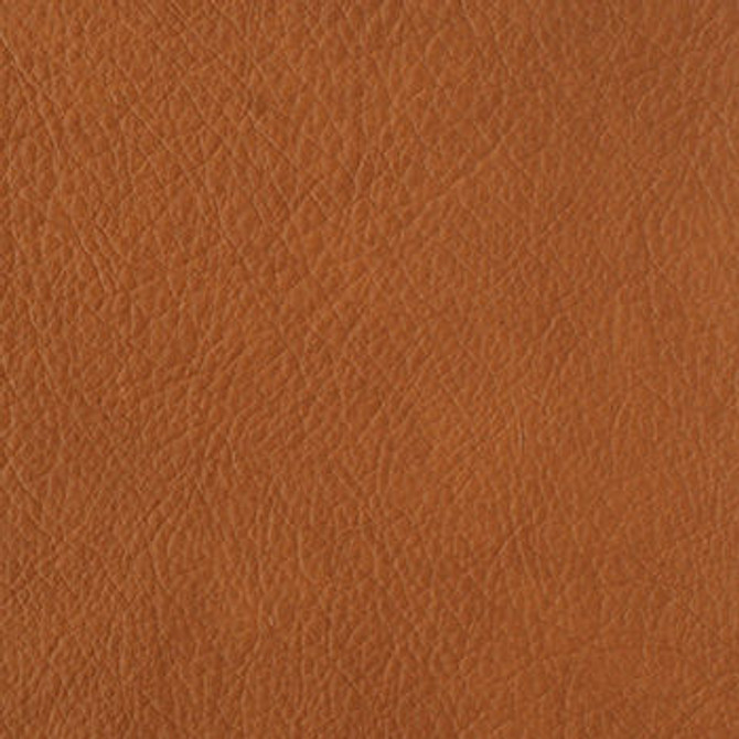 Heritage Cognac PHE-001 by Nassimi Fabric our website for purchase 100% Vinyl USA or Asia Water-based cleaning agents and foam may be used for cleaning. This fabric may also be cleaned with mild, water-free solvents. Cleaning by a professional cleaning service is recommended. Horizontal: - and Vertical: - 54" - Fabric Carolina -
