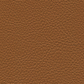 Classic Rodeo by Nassimi Fabric See sample 100% Vinyl 500000 Horizontal: Not Applicable and Vertical: Not Applicable 54" - Fabric Carolina -
