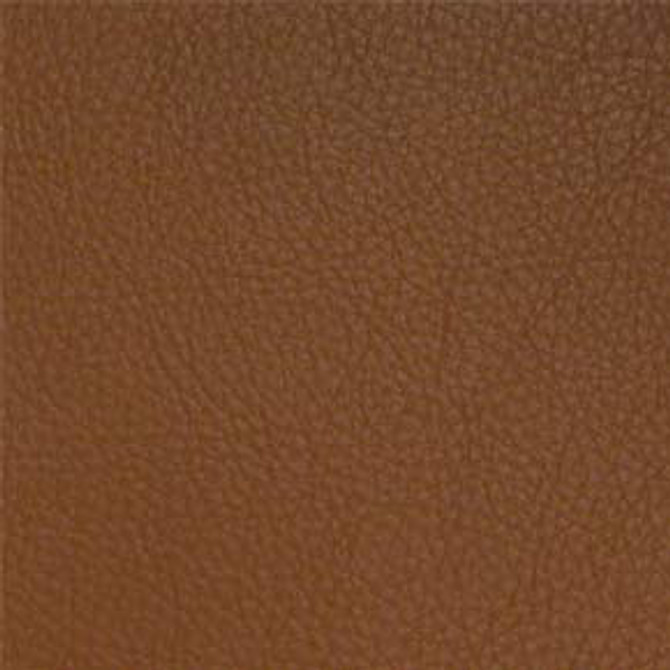 Classic Saddle by Nassimi Fabric See sample 100% Vinyl 500000 Horizontal: Not Applicable and Vertical: Not Applicable 54" - Fabric Carolina -