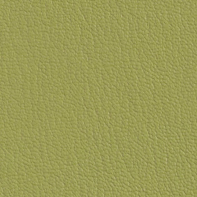 Colorguard Leap Frog by Omnova Fabric See sample 100% Vinyl 0 Horizontal: Not Applicable and Vertical: Not Applicable 54" - Fabric Carolina -