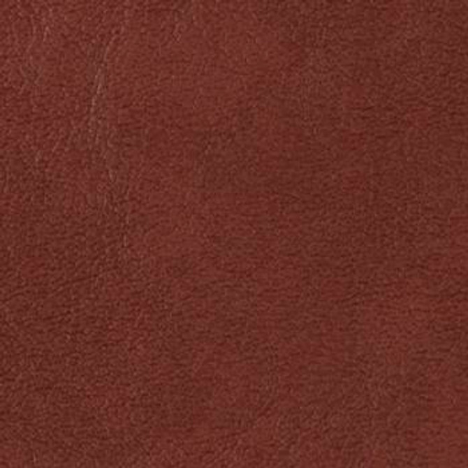 Grand Sierra Plum B363494 by Omnova Fabric See sample 100% Vinyl USA or Imported Water-based cleaning agents and foam may be used for cleaning. Cleaning by a professional cleaning service is recommended. 54 - Fabric Carolina -