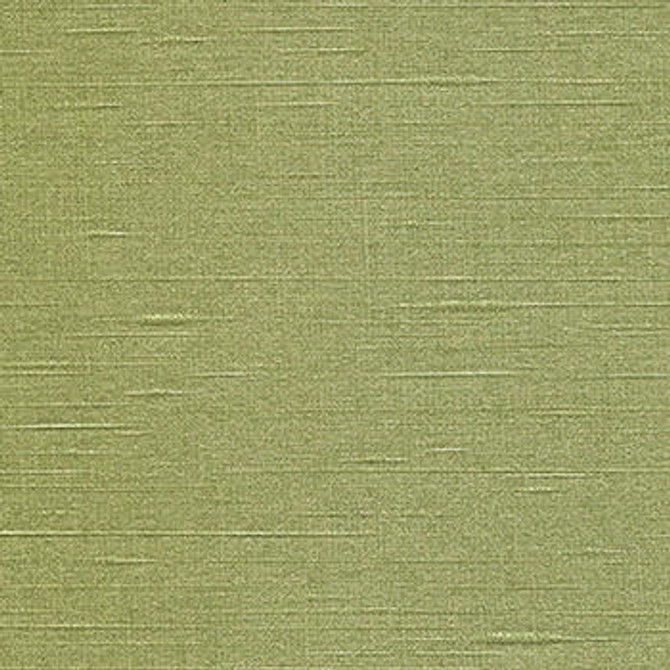 Surrey Budding Fern SUR-1300 by CGPC Fabric See sample 100% Vinyl USA or Imported Water-based cleaning agents and foam may be used for cleaning. Cleaning by a professional cleaning service is recommended. 54 - Fabric Carolina -