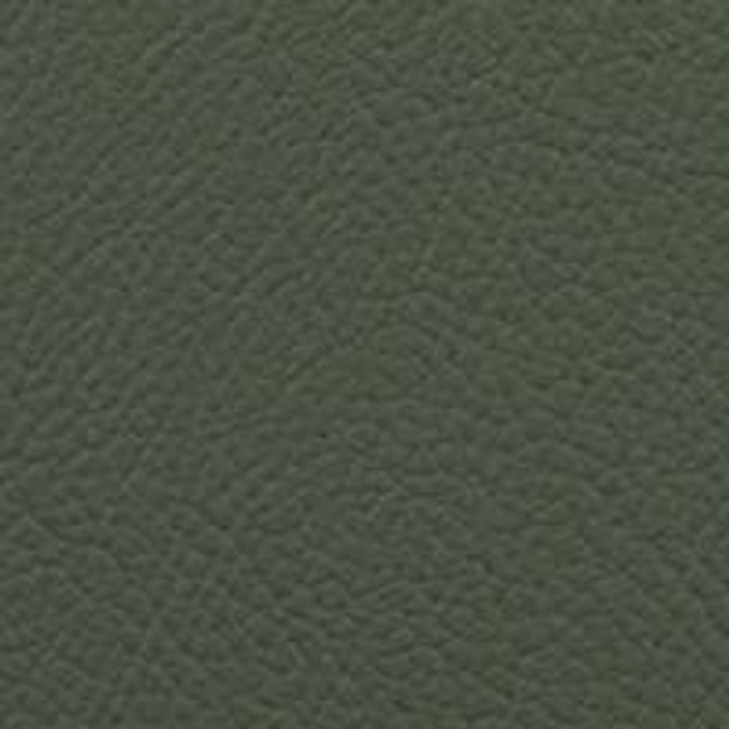 Vista Kelp by Omnova Fabric See sample 100% Vinyl 100000 Horizontal: Not Applicable and Vertical: Not Applicable 54" - Fabric Carolina -