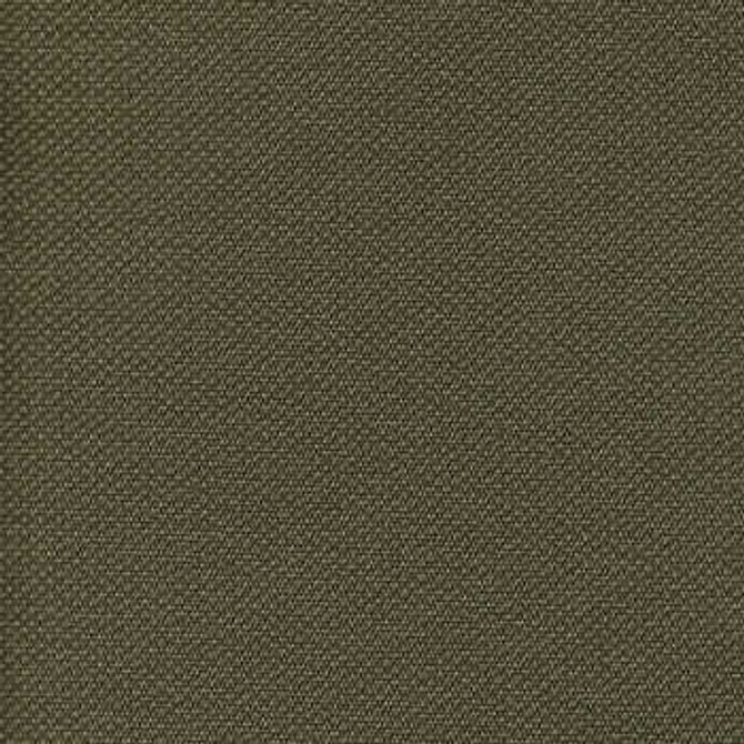 Berwick Tweed Carbon Footprint BRW-600 by Burch Fabric our website for purchase 100% Vinyl USA or Asia Water-based cleaning agents and foam may be used for cleaning. This fabric may also be cleaned with mild, water-free solvents. Cleaning by a professional cleaning service is recommended. Horizontal: - and Vertical: - 54" - Fabric Carolina -