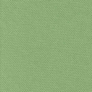 Berwick Tweed Zen Essence BRW-2000 by Burch Fabric our website for purchase 100% Vinyl USA or Asia Water-based cleaning agents and foam may be used for cleaning. This fabric may also be cleaned with mild, water-free solvents. Cleaning by a professional cleaning service is recommended. Horizontal: - and Vertical: - 54" - Fabric Carolina -