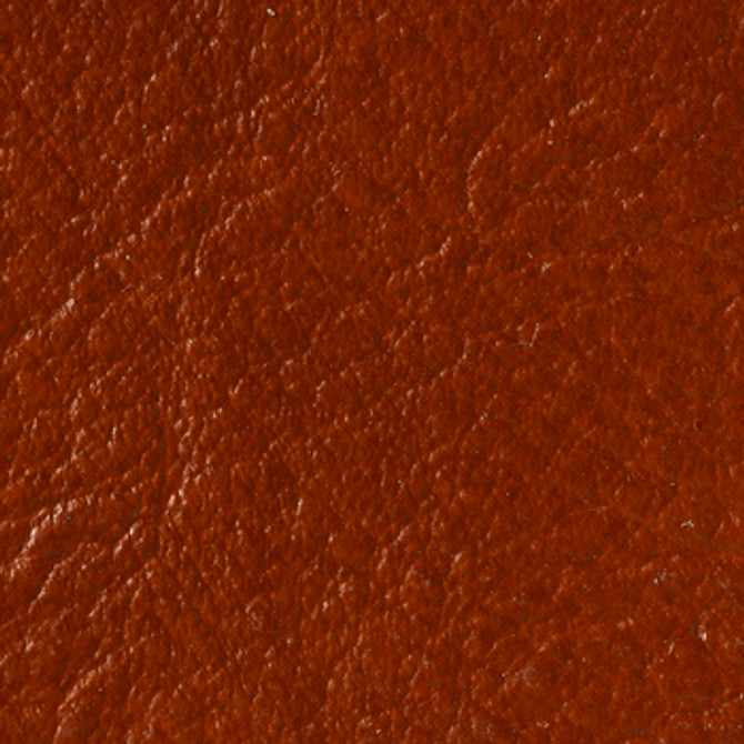 Burkshire Earth by Naugahyde Fabric See sample 100% Vinyl 0 Horizontal: Not Applicable and Vertical: Not Applicable 54" - Fabric Carolina -