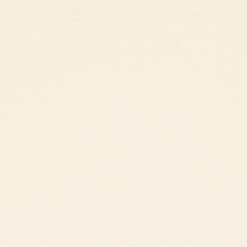 Allante Touch White by Morbern Fabric See sample 100% Vinyl 100000 Horizontal: Not Applicable and Vertical: Not Applicable 54" - Fabric Carolina -