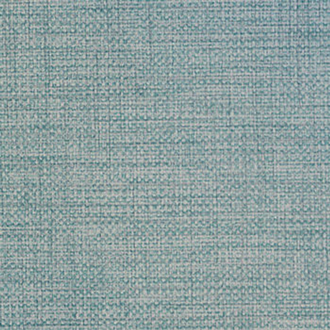 Twist Oxford STT-014 by Nassimi Fabric See sample 100% Vinyl USA or Imported Water-based cleaning agents and foam may be used for cleaning. Cleaning by a professional cleaning service is recommended. 54 - Fabric Carolina -