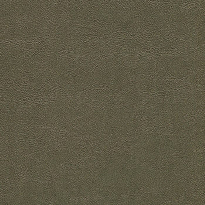 Alchemy Antique Bronze ALC-508 by CGPC Fabric See sample 100% Vinyl USA or Imported Water-based cleaning agents and foam may be used for cleaning. Cleaning by a professional cleaning service is recommended. 54 - Fabric Carolina -