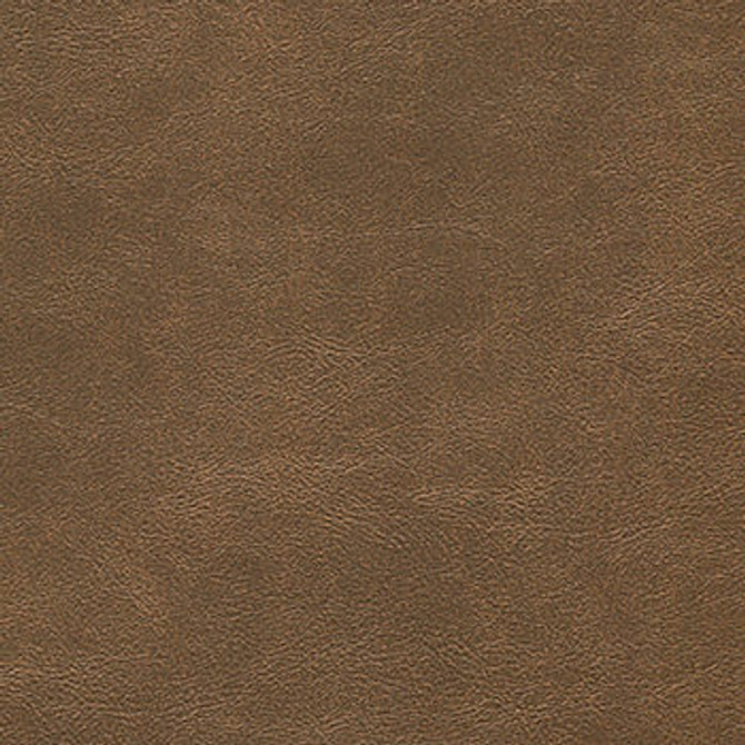 Alchemy Copper Trail ALC-504 by Burch Fabric our website for purchase 100% Vinyl USA or Asia Water-based cleaning agents and foam may be used for cleaning. Cleaning by a professional cleaning service is recommended. Horizontal: - and Vertical: - 54" - Fabric Carolina -