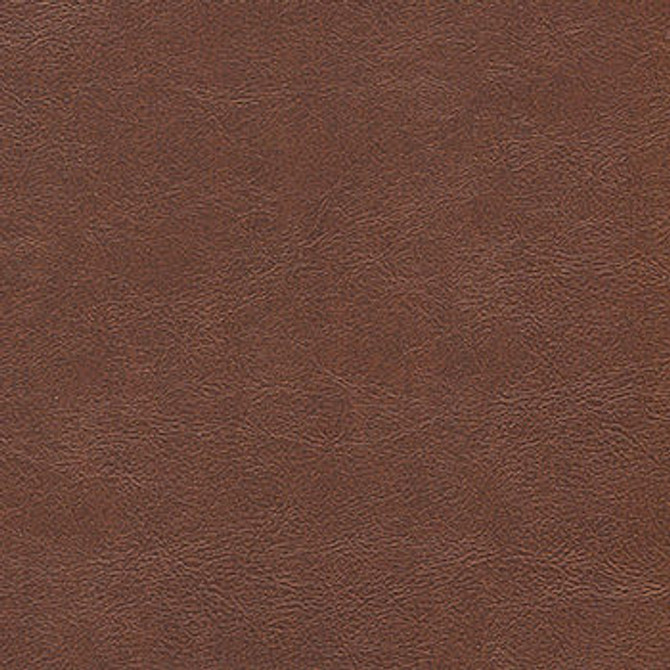 Alchemy Rustic Gate ALC-519 by CGPC Fabric See sample 100% Vinyl USA or Imported Water-based cleaning agents and foam may be used for cleaning. Cleaning by a professional cleaning service is recommended. 54 - Fabric Carolina -