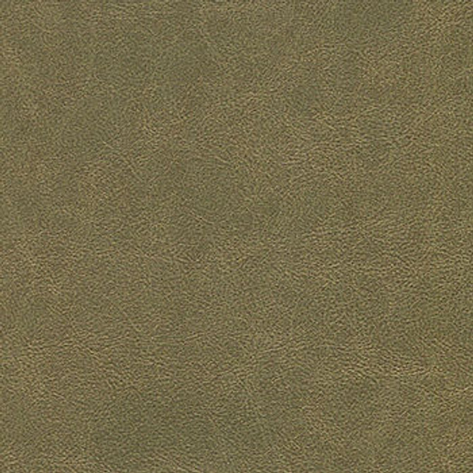 Alchemy Rustic Iron ALC-506 by CGPC Fabric See sample 100% Vinyl USA or Imported Water-based cleaning agents and foam may be used for cleaning. Cleaning by a professional cleaning service is recommended. </p><p>Repeat: Horizontal: and Vertical: 54" - Fabric Carolina -
