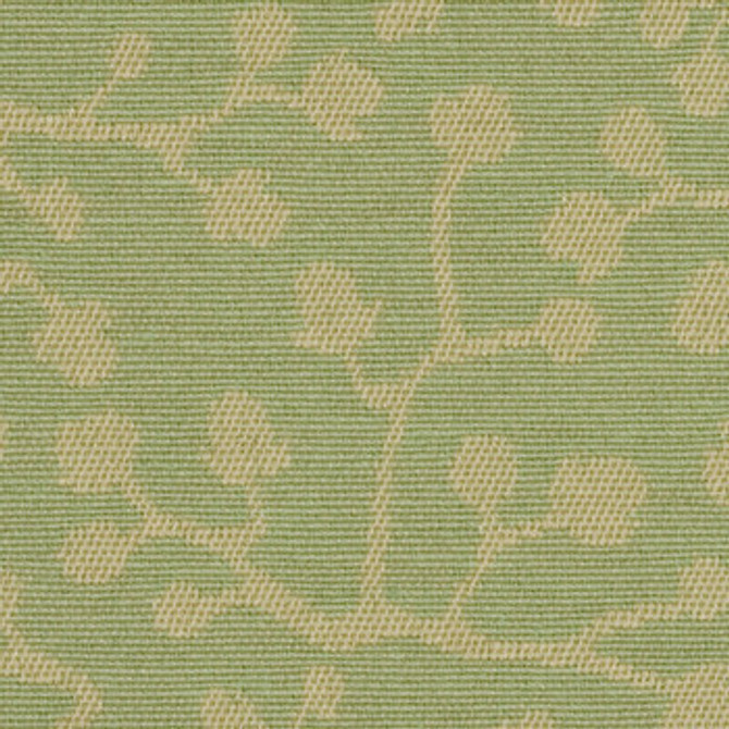 Insight Herb 1005659 by Crypton Fabric See sample 52% Cotton, 48% Recycled Polyester USA or Imported Water-based cleaning agents and foam may be used for cleaning. This fabric may also be cleaned with mild, water-free solvents. Cleaning by a professional service is recommended. </p><p>Repeat: Horizontal: 14.0" and Vertical: 14.75" 54" - Fabric Carolina -
