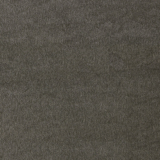 Bay Velvet/Charcoal 27193-006 by Scalamandre Fabric SCALAMANDRE WAREHOUSE 100% SOLUTION DYED ACRYLIC USA HEAVY DUTY Horizontal: 0" and Vertical: 0" 54" - Fabric Carolina -