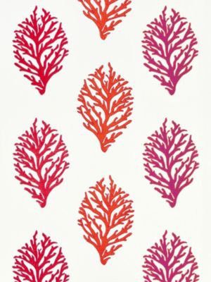<p>Coral Reef Embroidery Passion Fruit GW272040001 by Scalamandre Fabric</p><p><strong>Required Minimum Quantity Purchase: Fabrics by the yard 1 YARD MINIMUM </p><p>Book: BREEZE</p><p>Content: 12% POLYESTER, 35% COTTON 35% LINEN 18% VISCOSE</p><p>Origin: INDIA</p><p>Performance: LIGHT DUTY</p><p>Repeat: Horizontal: 14" and Vertical: 52"</p><p>Width: 52</p>