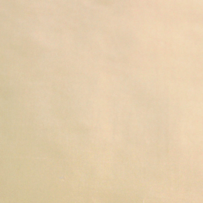 Dynasty Taffeta/Cream 36383-003 by Scalamandre Fabric BELLE JARDIN COLLECTION STOCKED AT 100% SILK INDIA LIGHT DUTY Horizontal: and Vertical: 53" - Fabric Carolina -