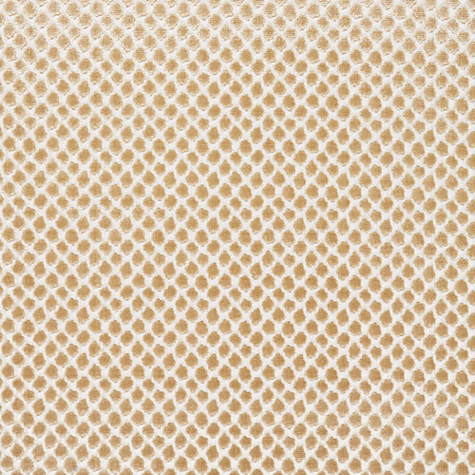 Etosha Velvet/Sand by Scalamandre Fabric Scalamandre Fabric Etosha Velvet/SandFabric MODERN NATURE 45% RAYON 28% VISCOSE 27% COTTON INDIA </p><p>Repeat: H: , V: 55" - Fabric Carolina -