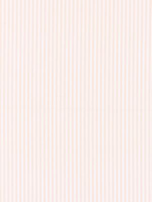 <p>Kent Stripe Petal Pink SC363950009 by Scalamandre Fabric</p><p><strong>Required Minimum Quantity Purchase: Fabrics by the yard 1 YARD MINIMUM </p><p>Book: CHATHAM STRIPES & PLAIDS</p><p>Content: 100% COTTON</p><p>Origin: INDIA</p><p>Performance: LIGHT DUTY</p><p>Repeat: Horizontal: and Vertical: .25"</p><p>Width: 54</p>