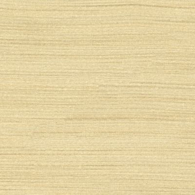 <p>Less Beige SC363340001 by Scalamandre Fabric</p><p><strong>Required Minimum Quantity Purchase: Fabrics by the yard 1 YARD MINIMUM </p><p>Book: </p><p>Content: 100% POLYESTER</p><p>Origin: CHINA</p><p>Performance: LIGHT DUTY</p><p>Repeat: Horizontal: and Vertical: </p><p>Width: 55</p>