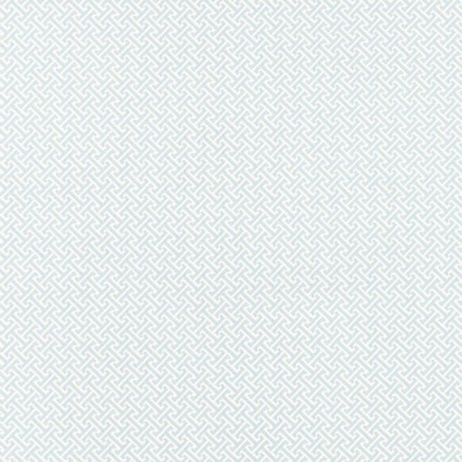Mandarin Weave/Sky 27102-002 by Scalamandre Fabric SCALAMANDRE WAREHOUSE 40% COTTON 35% POLYESTER 25% VISCOSE INDIA MEDIUM DUTY Horizontal: .625" and Vertical: .625" 55" - Fabric Carolina -