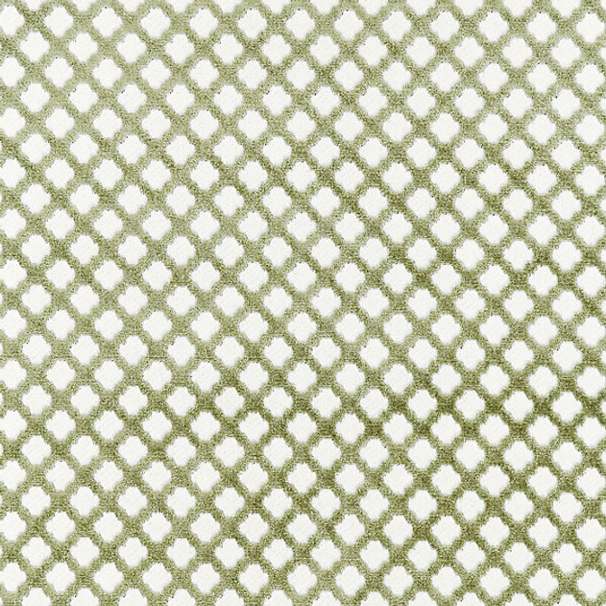 Pomfret/Green Tea by Scalamandre Fabric Scalamandre Fabric Pomfret/Green TeaFabric BOTANICA 53% COTTON 47% VISCOSE INDIA </p><p>Repeat: H: 1", V: 1" 55" - Fabric Carolina -