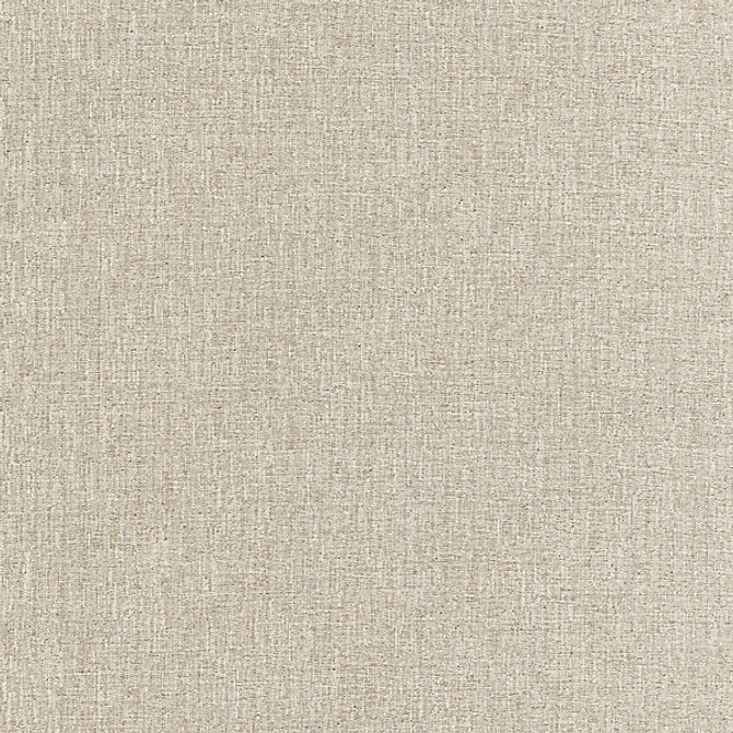 Spencer Chenille/Taupe K65117-002 by Boris Kroll Fabric CALYPSO - CRYPTON HOME 79% RAYON 21% POLYESTER USA HEAVY DUTY Horizontal: and Vertical: 54.5" - Fabric Carolina -