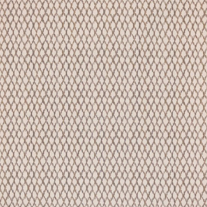 Sketchy Flax by RM CoCo Fabric Finishing Touches Vol 12 40.56%Cttn 34.80%Poly 24.64%Ole - Dry clean only Horizontal: 4.438 and Vertical: 4.813 57 - Fabric Carolina -