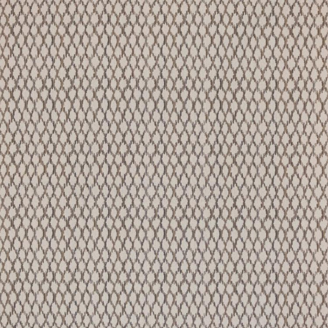 Sketchy Flax by RM CoCo Fabric Finishing Touches Vol 12 40.56%Cttn 34.80%Poly 24.64%Ole 33000 Horizontal: 4.438 and Vertical: 4.813 57 - Fabric Carolina -