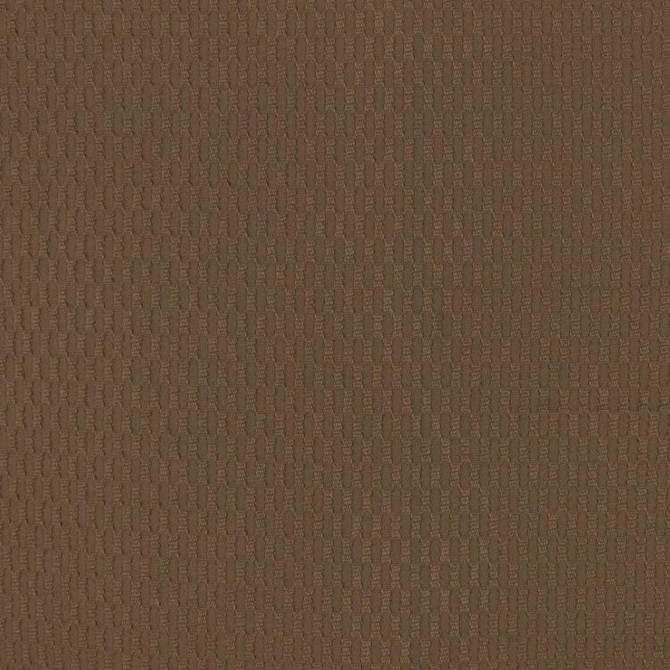 Net Result Twig by RM CoCo Fabric Finishing Touches Vol 17 60.14% Cotton 39.86% Polyester 30000 Horizontal: 0.5 and Vertical: 1.375 52.5 - Fabric Carolina -