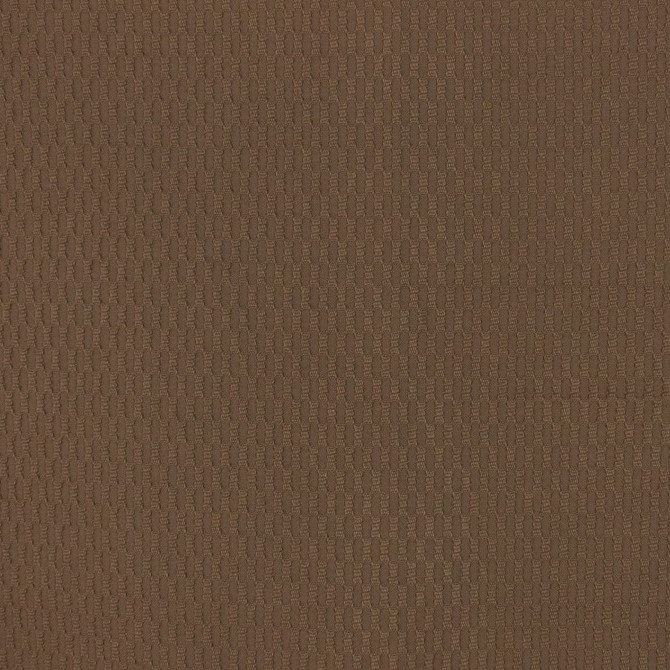 Net Result Twig by RM CoCo Fabric Finishing Touches Vol 17 60.14% Cotton 39.86% Polyester See Sample 0 Horizontal: 0.5 and Vertical: 1.375 52.5 - Fabric Carolina -