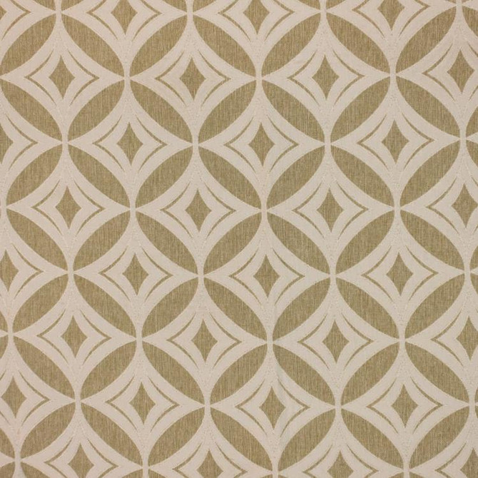 Grove Park Garden Thyme by RM CoCo Fabric Inspired Living Vol 17 100% Polyester Fill - Dry clean only Horizontal: 6.82 and Vertical: 8.78 55 - Fabric Carolina -