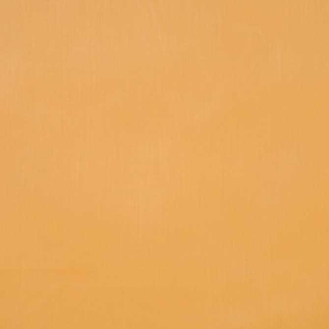 Glitz Marigold by RM CoCo Fabric Glitz II 60% COTTON 40% POLYESTER 15000 Horizontal: 0 and Vertical: 0 57 - Fabric Carolina -