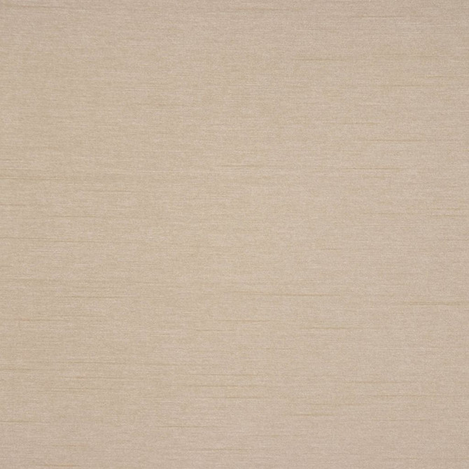 Keepsakes Tussah by RM CoCo Fabric Keepsakes II 100% Polyester See Sample 0 Horizontal: 0 and Vertical: 0 54 - Fabric Carolina -