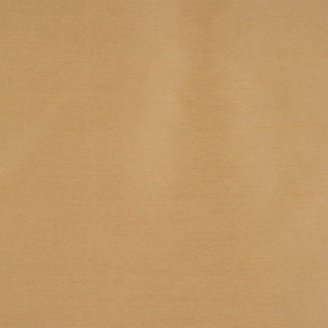 KEEPSAKES TOAST by RM CoCo Fabric Keepsakes III 100% Polyester See Sample 0 Horizontal: 00 54  - Fabric Carolina -