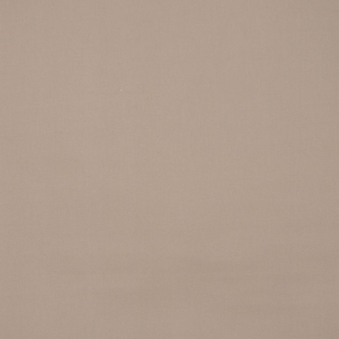 Escapade Malibu Beige by RM CoCo Fabric Shenanigans 100% Cotton See Sample 0 Horizontal: 0 and Vertical: 0 54 - Fabric Carolina -