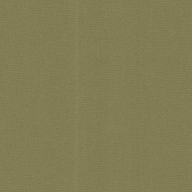 Escapade Sage Green by RM CoCo Fabric Shenanigans 100% Cotton - Dry clean only Horizontal: 0 and Vertical: 0 54 - Fabric Carolina -