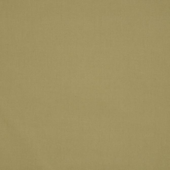 Escapade Ivy by RM CoCo Fabric Shenanigans 100% Cotton See Sample 0 Horizontal: 0 and Vertical: 0 54 - Fabric Carolina -