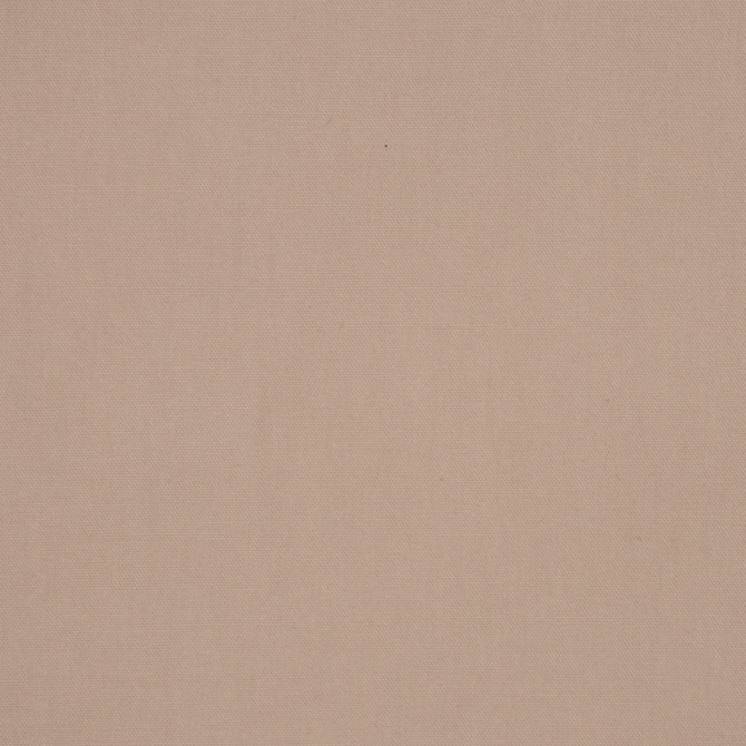 Escapade Taupe by RM CoCo Fabric Escapade 100% COTTON - Dry clean only Horizontal: 0 and Vertical: 0 54 - Fabric Carolina -