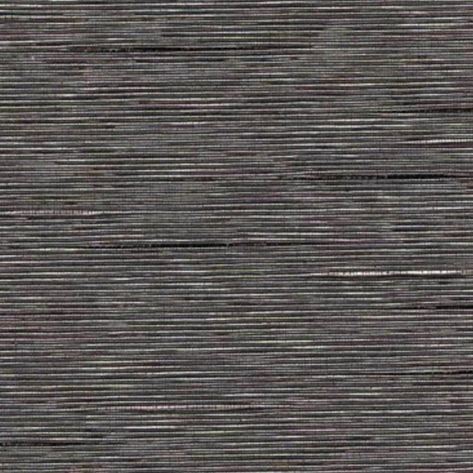 Gusto Charcoal by RM CoCo Fabric Affinity II 55% Cotton 45% Polyester 15000 Horizontal: 0 and Vertical: 0 54 - Fabric Carolina -