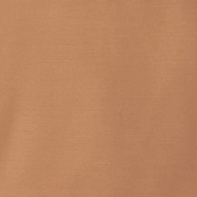Talent Plaza by RM CoCo Fabric Talent 51% Cotton 49% Polyester 45000 Horizontal: 0 and Vertical: 0 59 - Fabric Carolina -