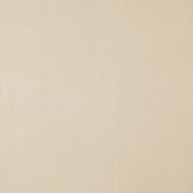 Landen Glacier by RM CoCo Fabric Landen 95% Polyester 5% Linen See Sample 110000 Horizontal: 0 and Vertical: 0 57 - Fabric Carolina -