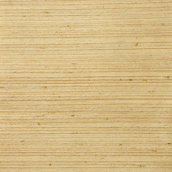 Colonial Natural by RM CoCo Fabric Final Draft 100 POLYESTER - Dry clean only Horizontal: 0 and Vertical: 0 55 - Fabric Carolina -